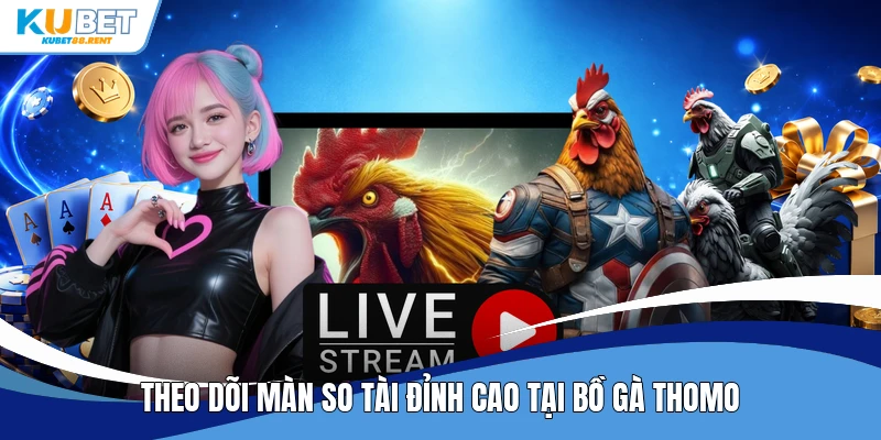 Theo dõi màn so tài đỉnh cao tại bồ gà Thomo